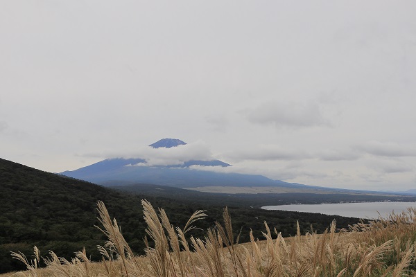 f:id:gallon96_d:20200930165617j:plain f:id:gallon96_d:20200930165617j:plain