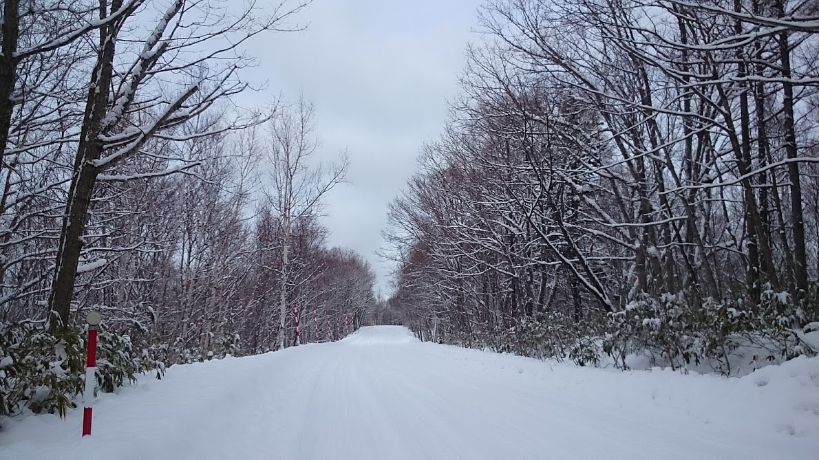 f:id:gamcho:20200215225945j:plain f:id:gamcho:20200215225945j:plain