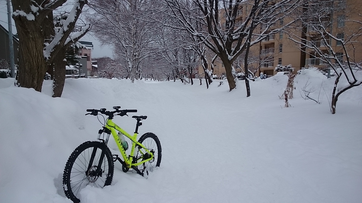 f:id:gamcho:20200223120826j:plain f:id:gamcho:20200223120826j:plain