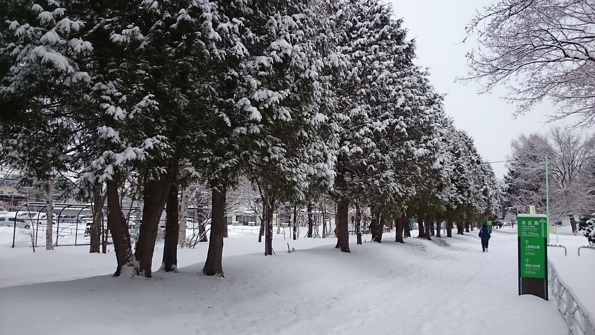 f:id:gamcho:20200223121618j:plain f:id:gamcho:20200223121618j:plain