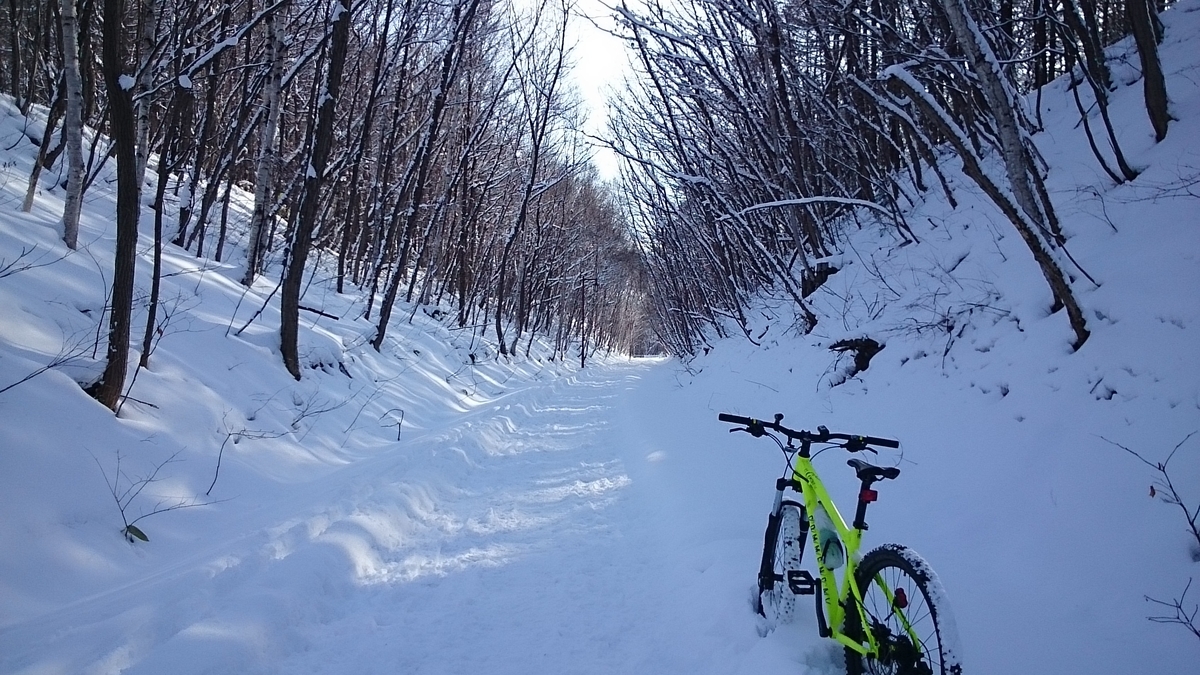 f:id:gamcho:20200223121839j:plain f:id:gamcho:20200223121839j:plain