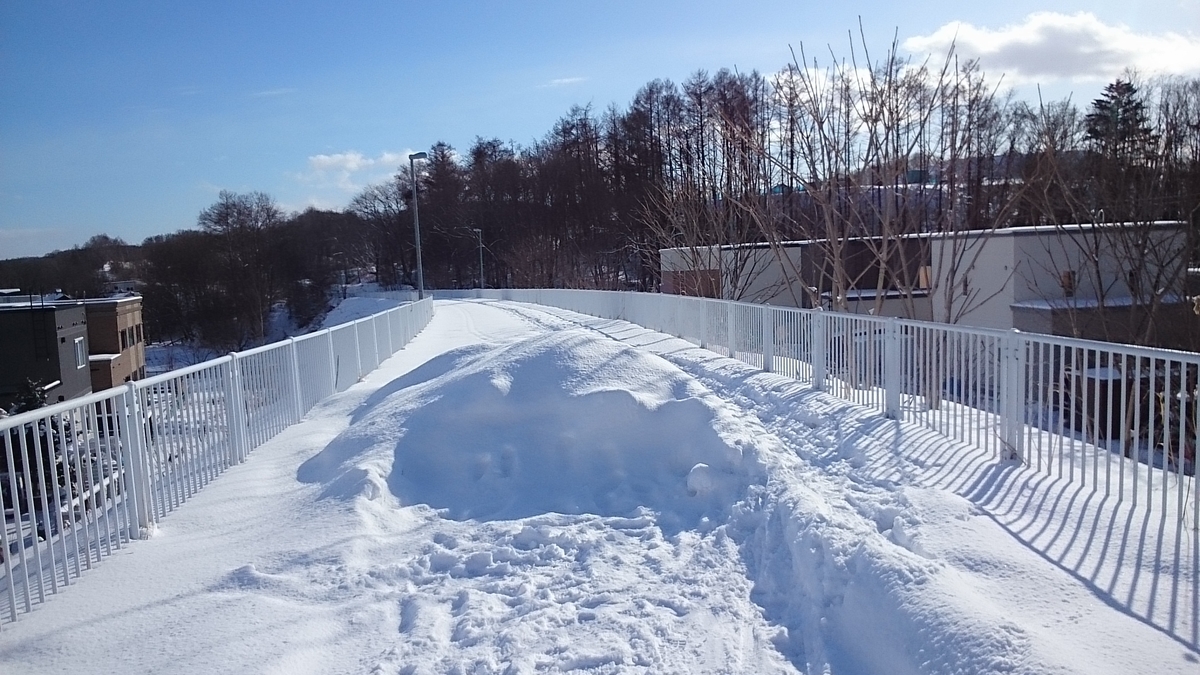 f:id:gamcho:20200223124141j:plain f:id:gamcho:20200223124141j:plain