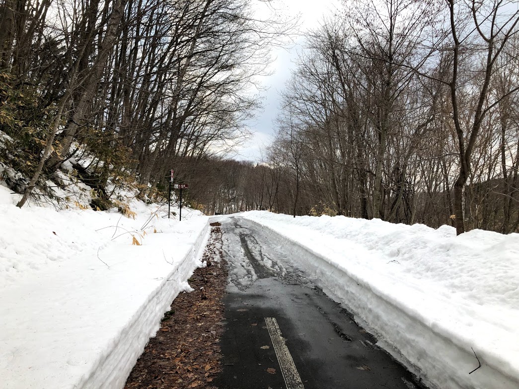 f:id:gamcho:20200321201308j:plain f:id:gamcho:20200321201308j:plain