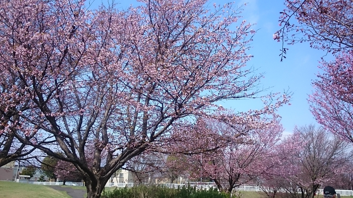 f:id:gamcho:20200510211240j:plain f:id:gamcho:20200510211240j:plain