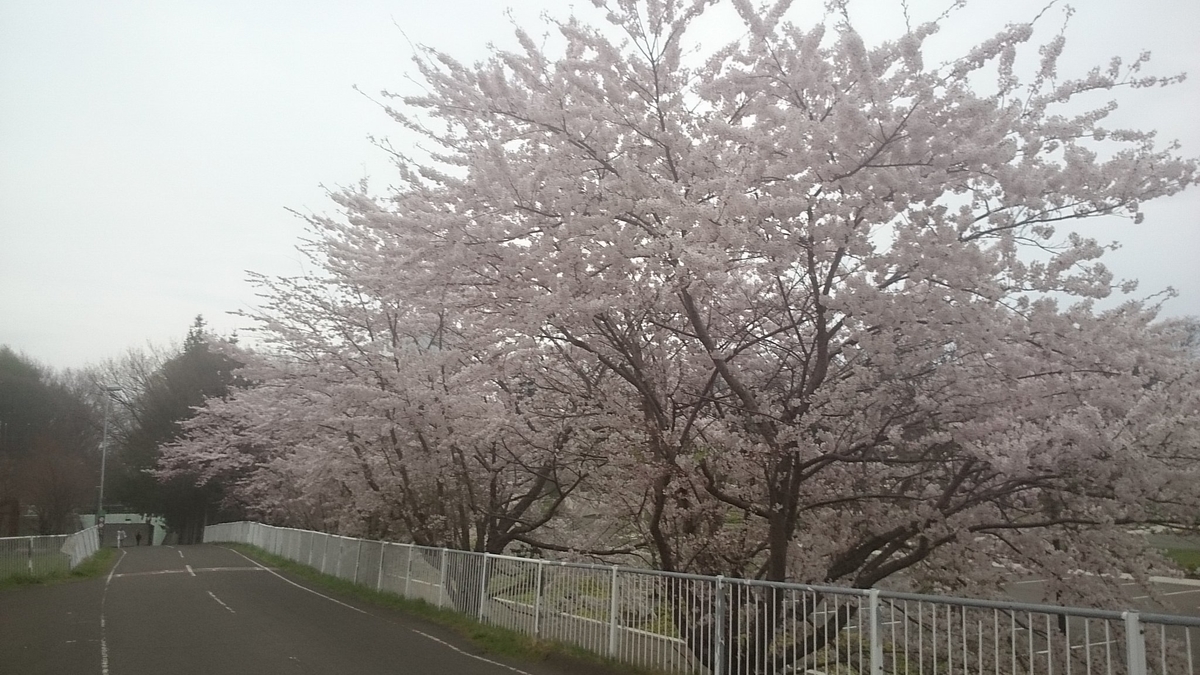 f:id:gamcho:20200510211254j:plain f:id:gamcho:20200510211254j:plain