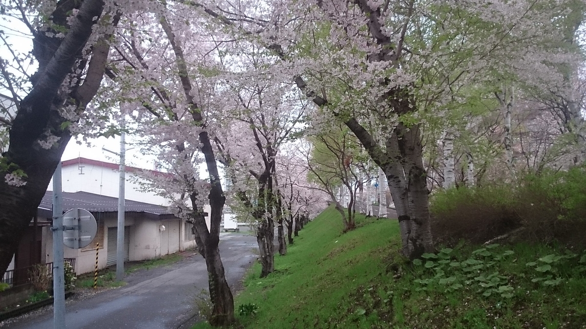 f:id:gamcho:20200510211314j:plain f:id:gamcho:20200510211314j:plain