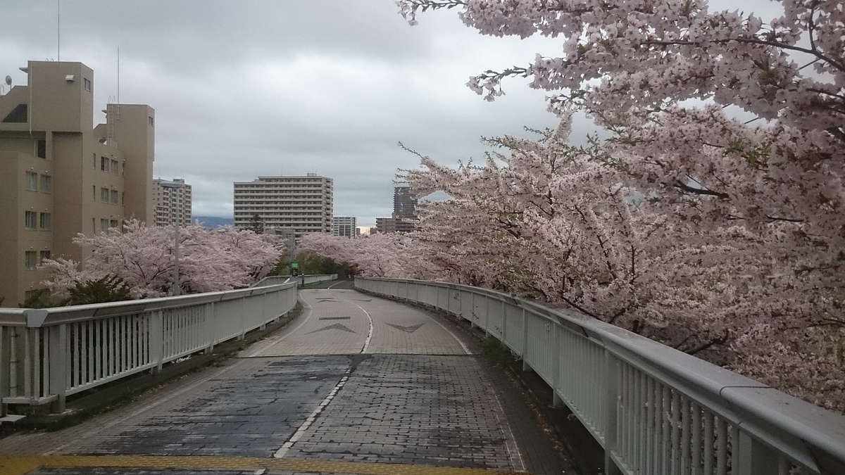 f:id:gamcho:20200510211332j:plain f:id:gamcho:20200510211332j:plain