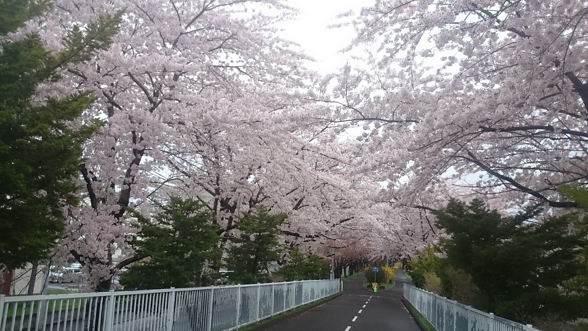 f:id:gamcho:20200510211351j:plain f:id:gamcho:20200510211351j:plain