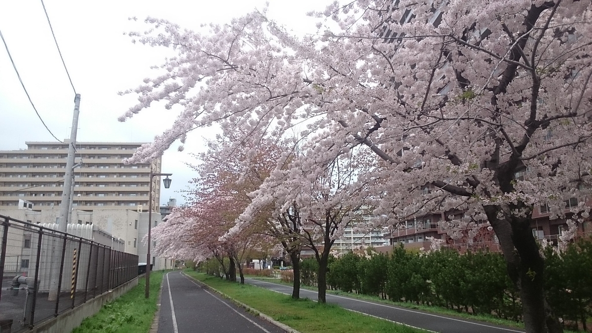 f:id:gamcho:20200510211414j:plain f:id:gamcho:20200510211414j:plain