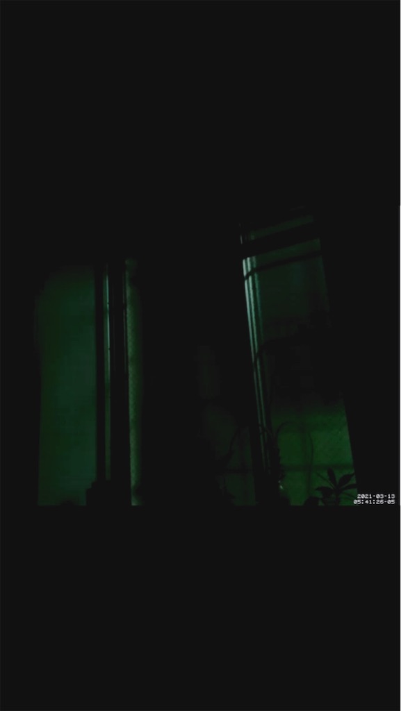f:id:game-allergy:20210313091806j:image