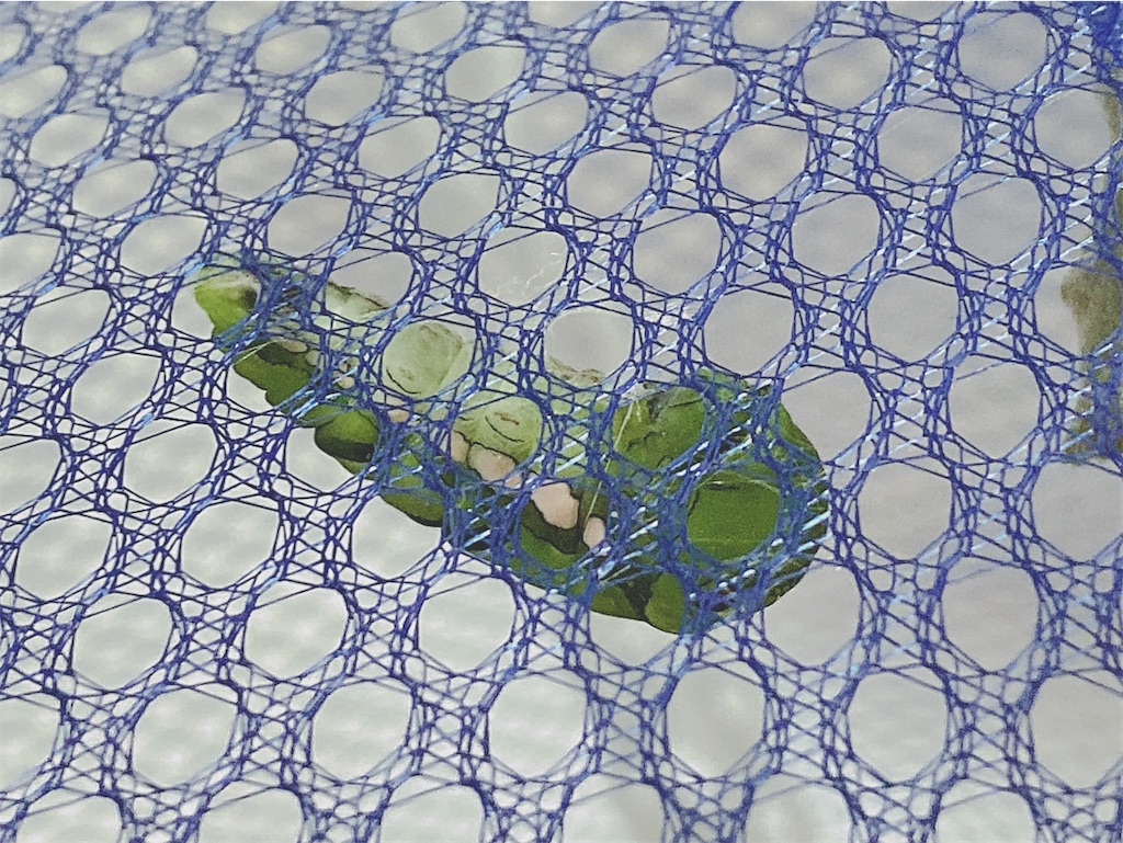 f:id:game-allergy:20210427115320j:image
