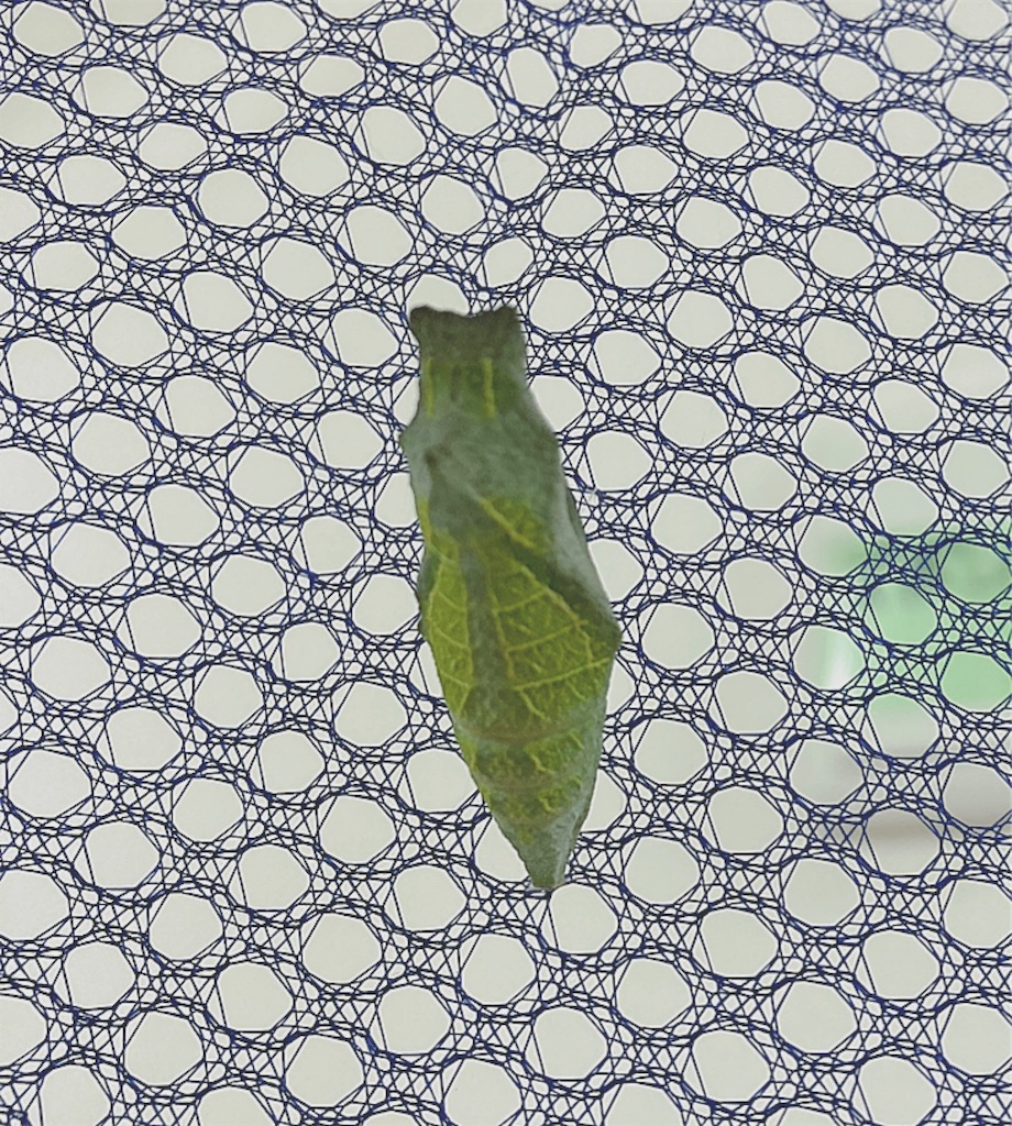 f:id:game-allergy:20210428174413j:image