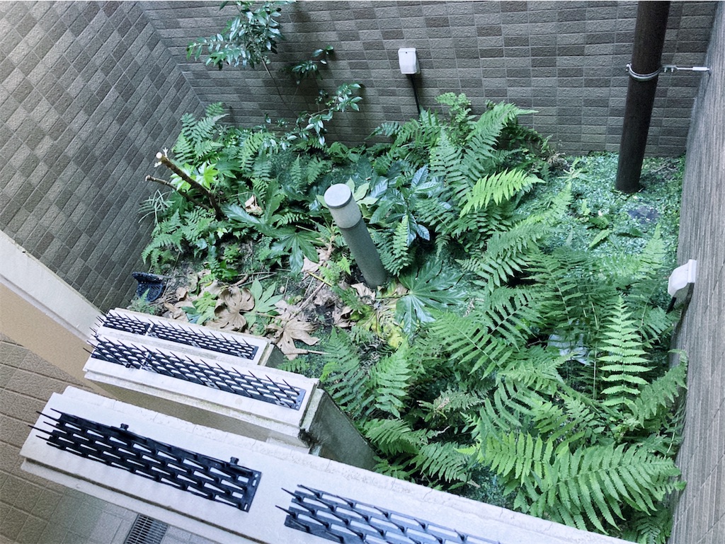 f:id:game-allergy:20220227182507j:image