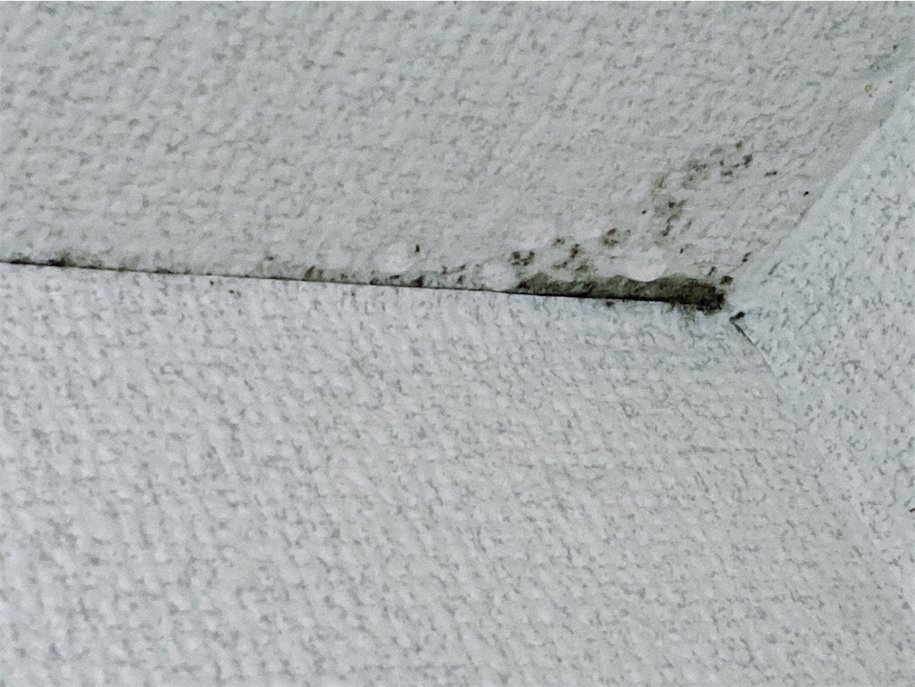 f:id:game-allergy:20220227182705j:image