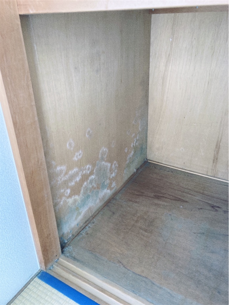 f:id:game-allergy:20220227182747j:image