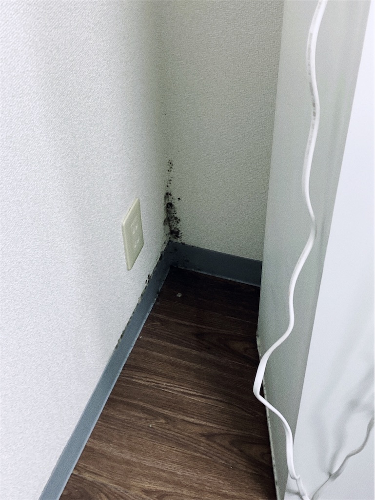 f:id:game-allergy:20220227182924j:image