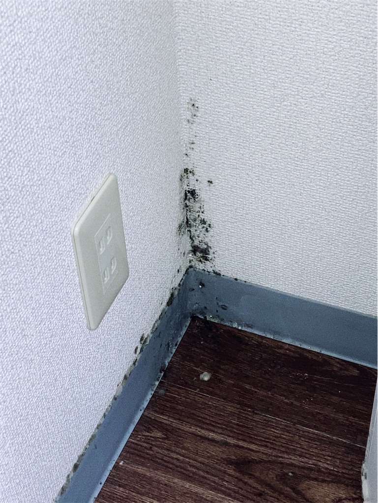 f:id:game-allergy:20220227183035j:image