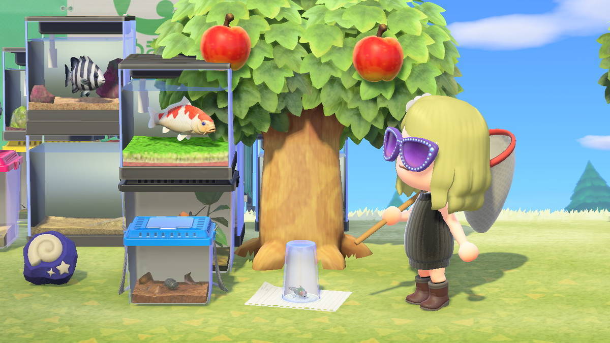 あつ森 レギュラーキャラ続々 チキンセーブが止まらない あつ森 レギュラーキャラ続々 チキンセーブが止まらない