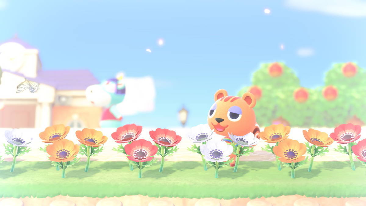 f:id:gamediary_kkmt:20200408144357j:plain