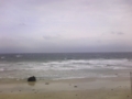 下田の海