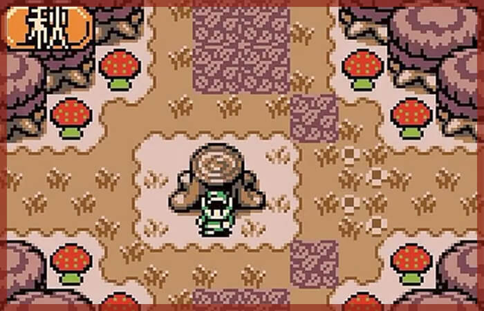 ゼルダの伝説 ふしぎの木の実 大地の章よりタームいせき