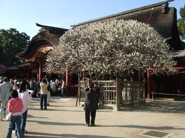 イメージ 4