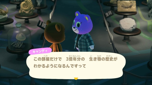 『炭水化物さん専用』あつ森とポケモンのセット 20221117191923.jpg