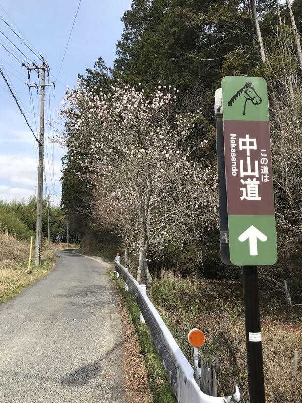 f:id:gamugamu5209:20210702124354j:plain