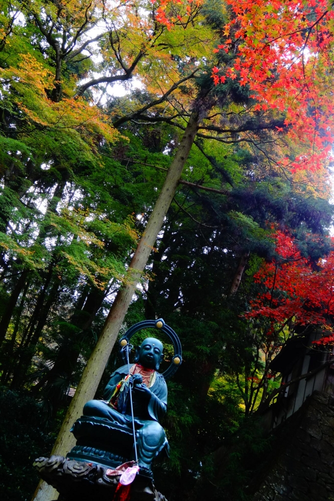 f:id:gan_jiro:20151129230625j:plain f:id:gan_jiro:20151129230625j:plain