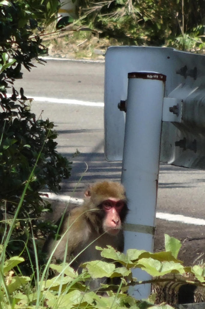 f:id:gan_jiro:20160728101530j:plain f:id:gan_jiro:20160728101530j:plain