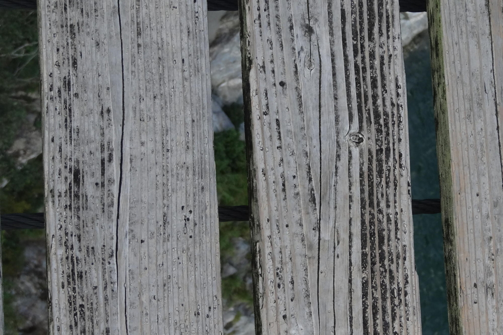 f:id:gan_jiro:20161002160909j:plain f:id:gan_jiro:20161002160909j:plain