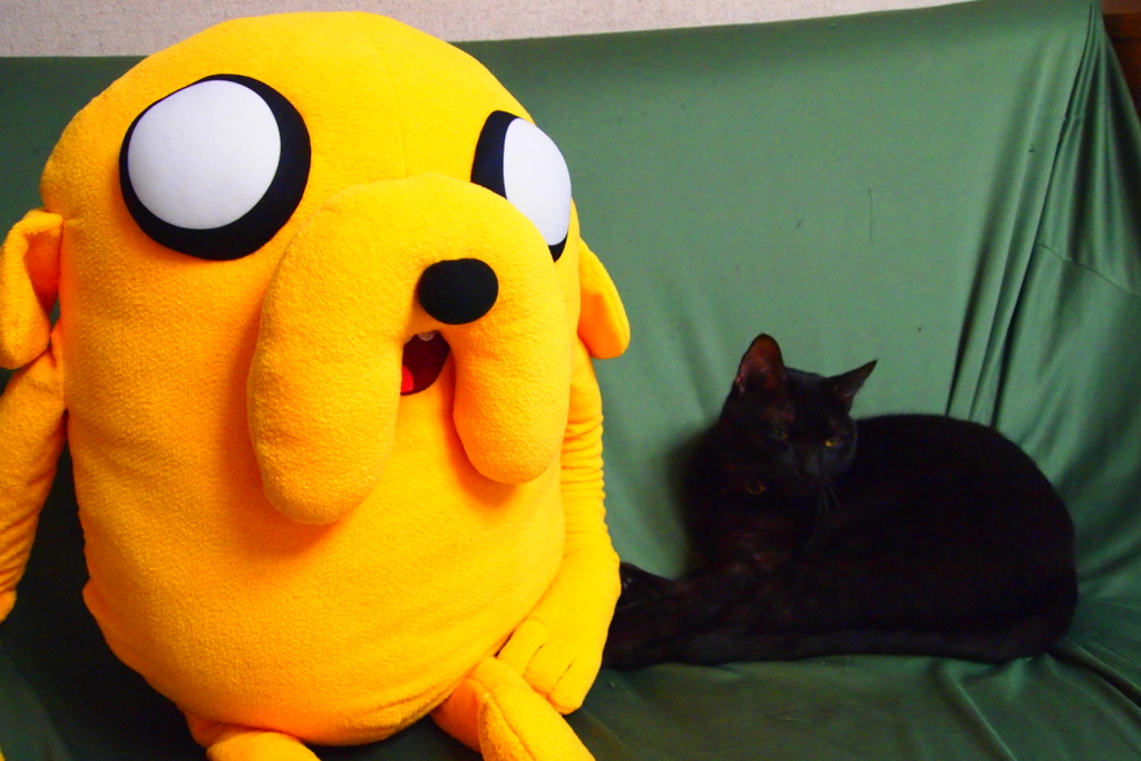 f:id:gan_jiro:20170109143721j:plain