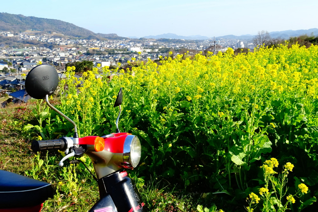 f:id:gan_jiro:20170128143601j:plain