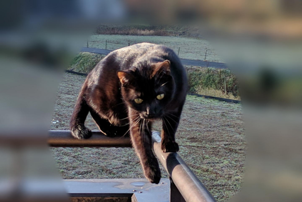 f:id:gan_jiro:20170128185502j:plain