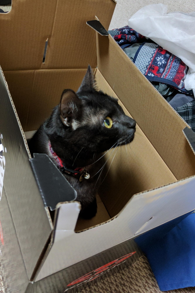 f:id:gan_jiro:20170307204743j:plain