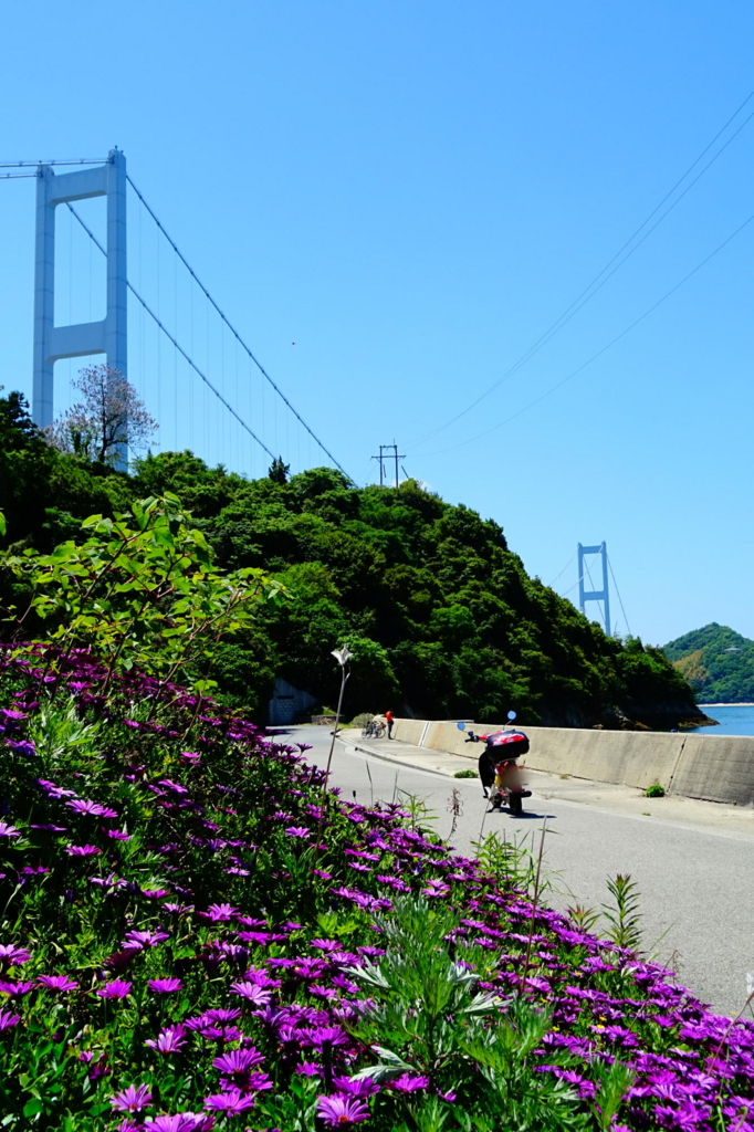 f:id:gan_jiro:20170505114140j:plain f:id:gan_jiro:20170505114140j:plain