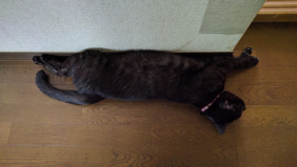 f:id:gan_jiro:20170812162148j:plain f:id:gan_jiro:20170812162148j:plain