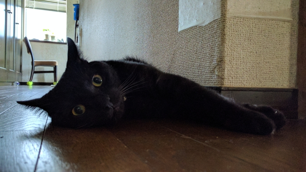 f:id:gan_jiro:20170812162226j:plain f:id:gan_jiro:20170812162226j:plain