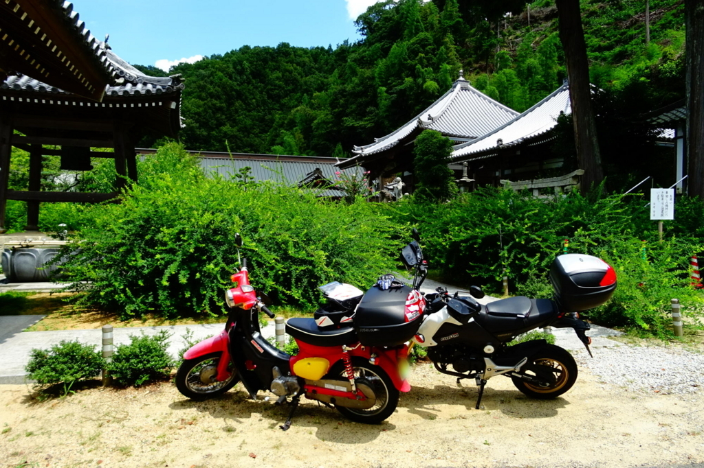 f:id:gan_jiro:20170813114337j:plain f:id:gan_jiro:20170813114337j:plain