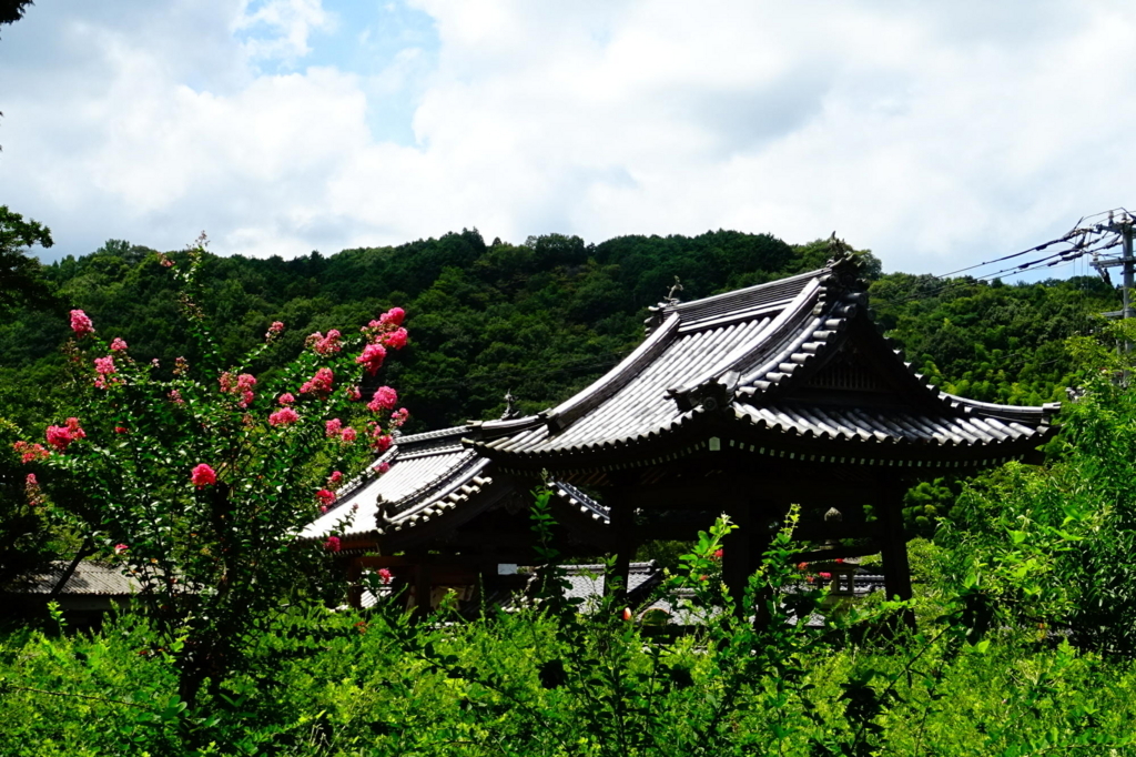 f:id:gan_jiro:20170813114809j:plain f:id:gan_jiro:20170813114809j:plain