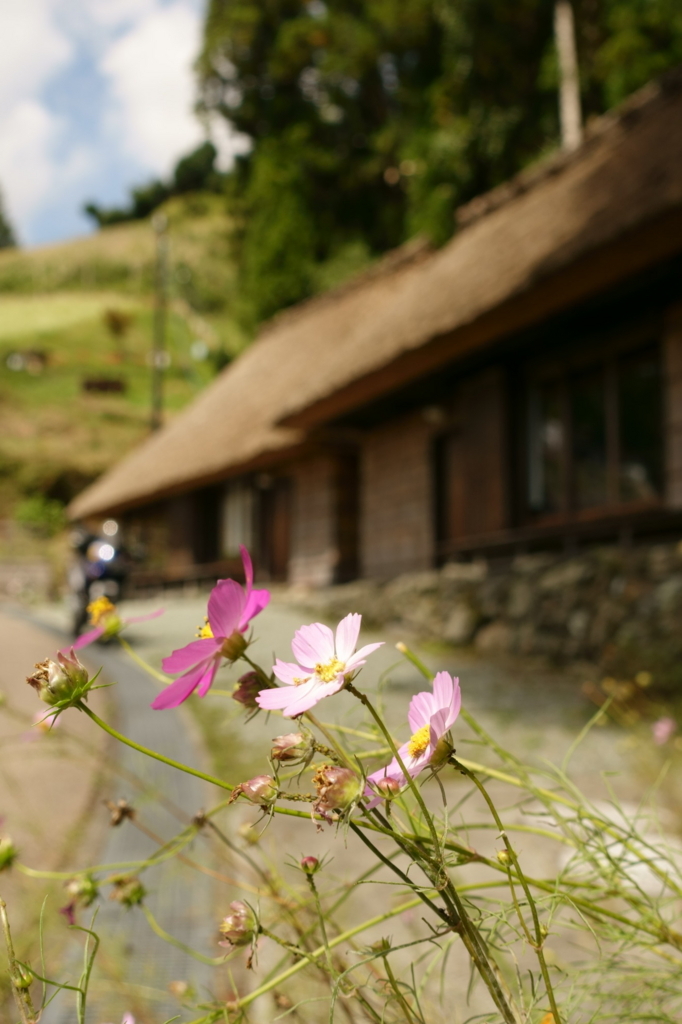 f:id:gan_jiro:20170929113736j:plain f:id:gan_jiro:20170929113736j:plain