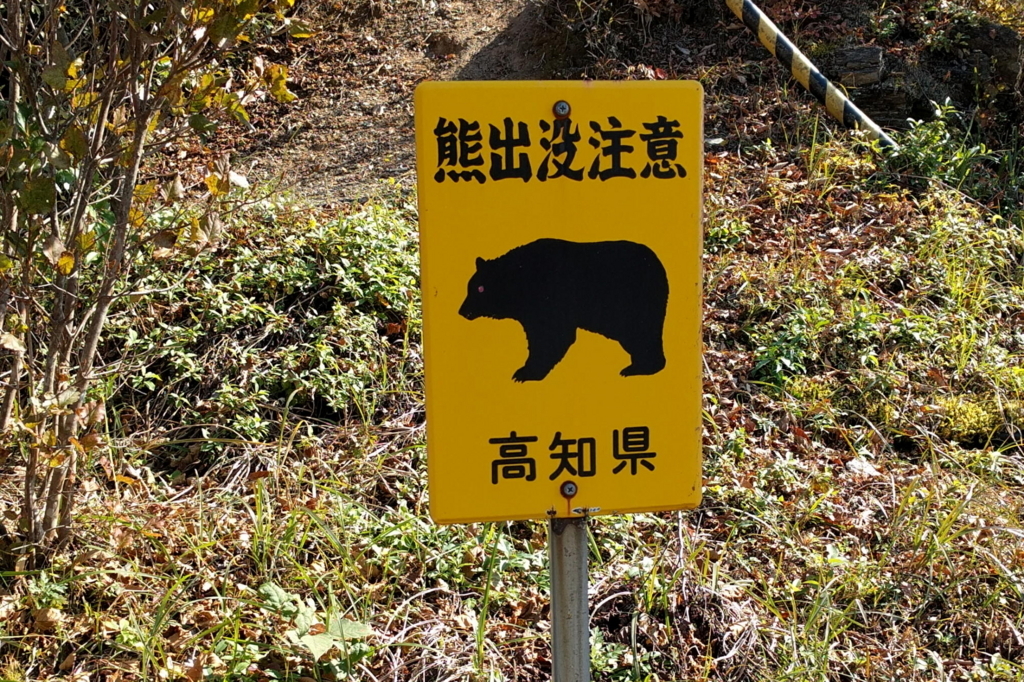 f:id:gan_jiro:20171105123759j:plain