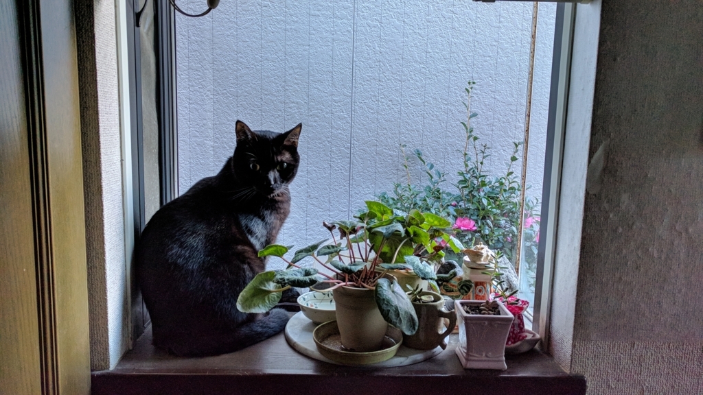 f:id:gan_jiro:20171107073436j:plain