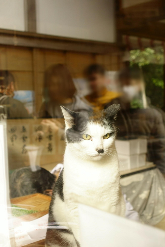 f:id:gan_jiro:20180103120313j:plain