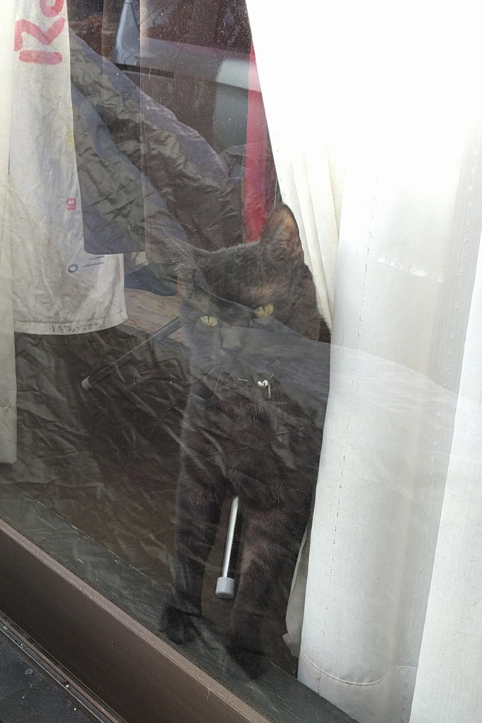 f:id:gan_jiro:20180127151918j:plain f:id:gan_jiro:20180127151918j:plain