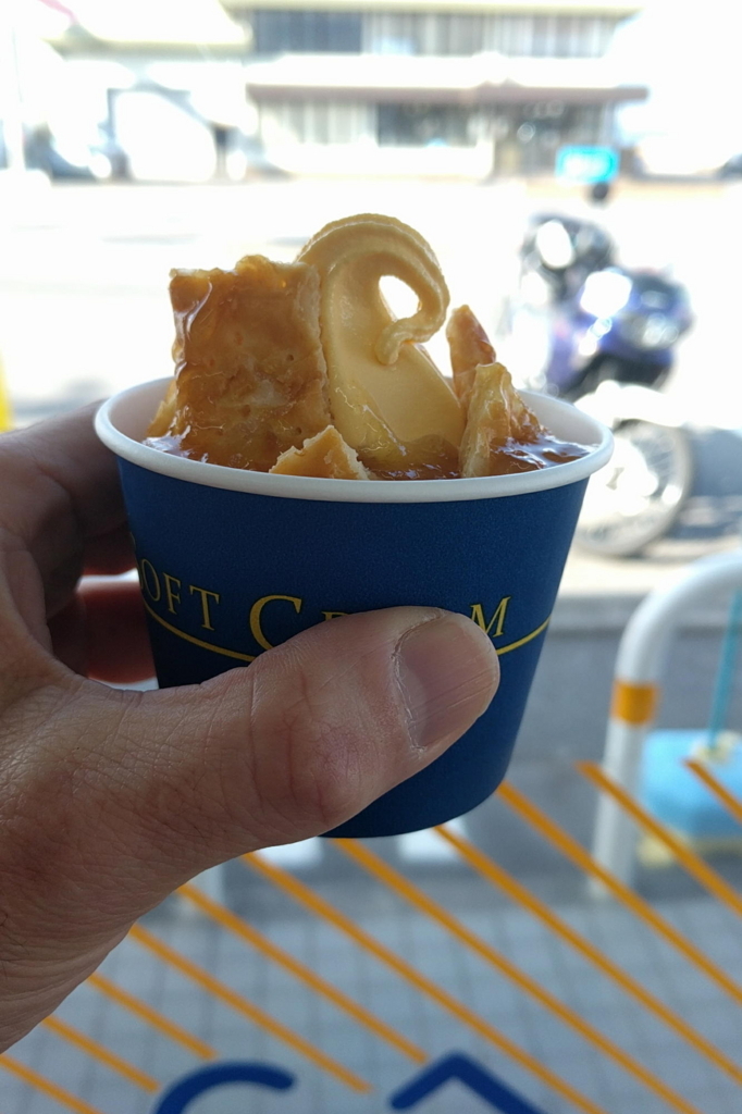 f:id:gan_jiro:20180203142127j:plain f:id:gan_jiro:20180203142127j:plain