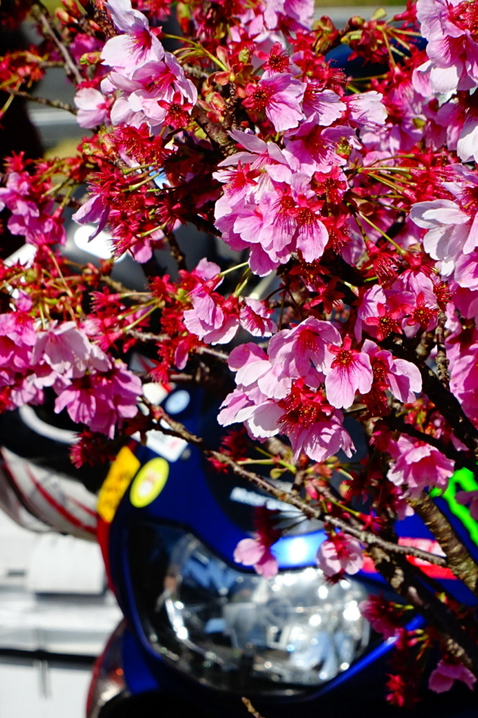 f:id:gan_jiro:20180324092932j:plain