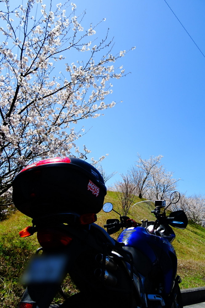 f:id:gan_jiro:20180324122725j:plain