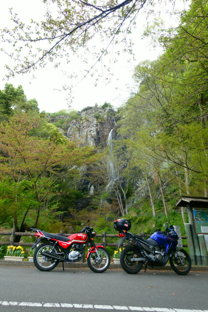 f:id:gan_jiro:20180407150523j:plain f:id:gan_jiro:20180407150523j:plain