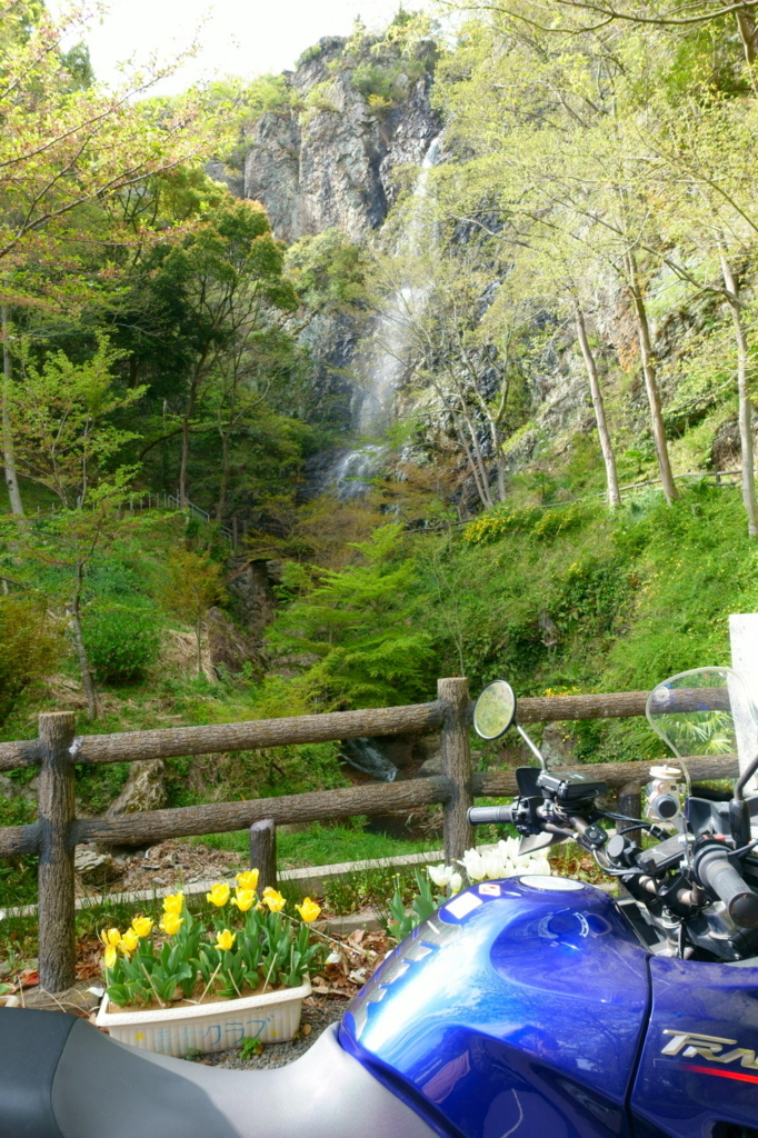 f:id:gan_jiro:20180407150700j:plain f:id:gan_jiro:20180407150700j:plain